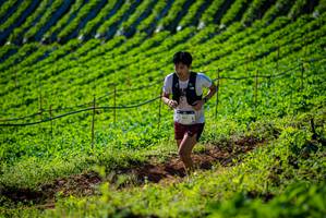 BIB: 
                            <button type="button" onclick="openModal(19160586)" class="btn btn-primary btn-sm float-right btn-popup" data-toggle="modal" data-target=".modal-high-quality">
                        <i class="fas fa-shopping-cart"></i> Add to Cart
                    </button>
                                            <button type="button" onclick="isThisMe(19160586, true)" class="btn btn-success btn-sm float-right btn-popup btn-isme hidden" data-toggle="tooltip" data-placement="bottom" title="นี่คือรูปของคุณใช่ไหม คลิกที่นี่เพื่อเอาเข้าอัลบั้ม">
                        <i class="fas fa-plus"></i> Add to album
                    </button>
                    <button type="button" onclick="isThisMe(19160586, false)" class="btn btn-warning btn-sm float-right btn-popup btn-isnotme hidden">
                        <i class="fas fa-ban"></i> Remove from album
                    </button>